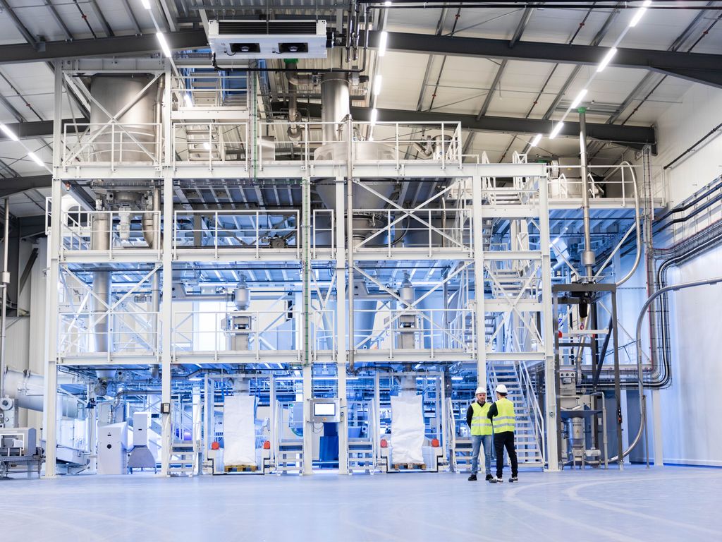 Wholesale Cocoa industry insight