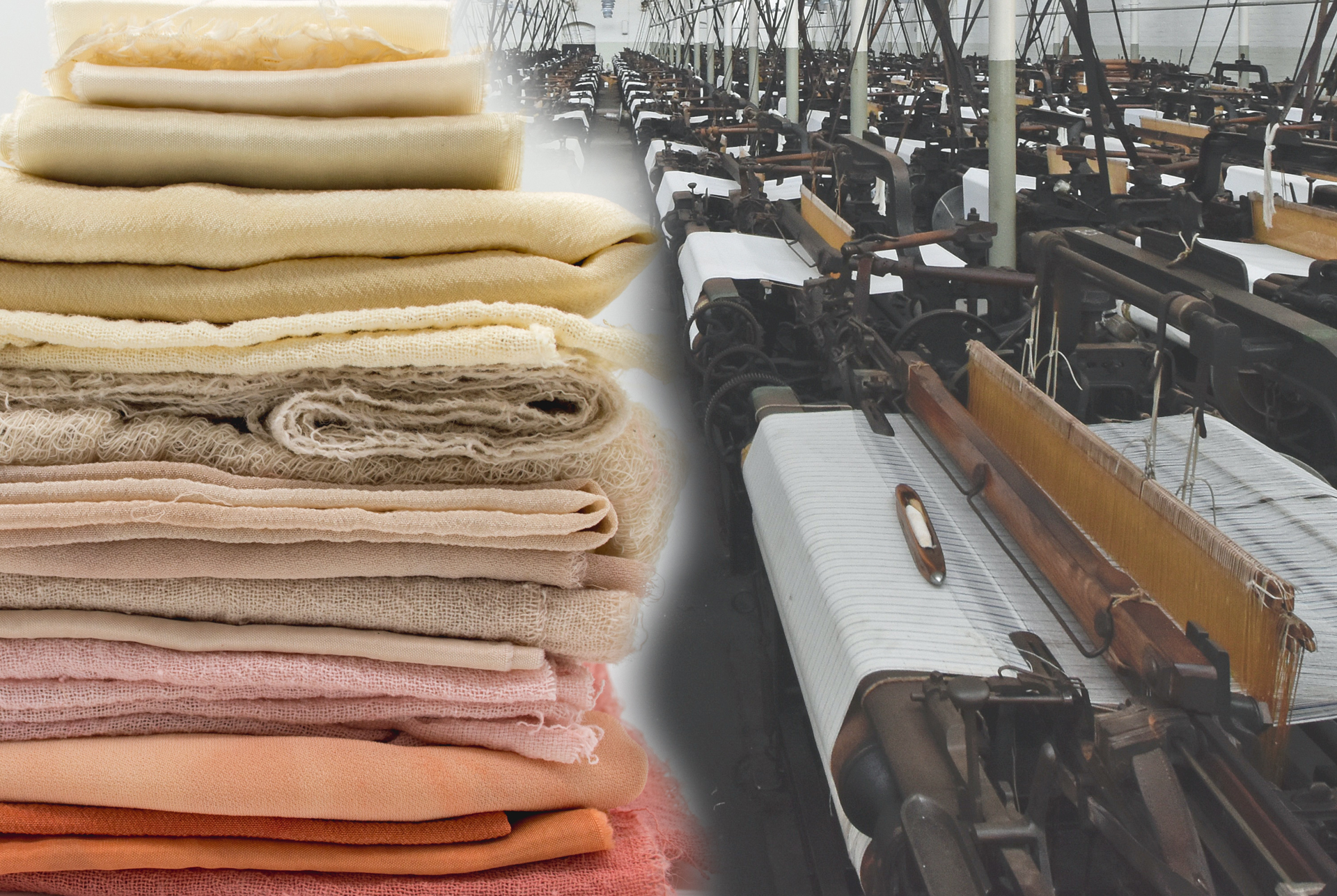 Wholesale Cotton Fabric industry insight