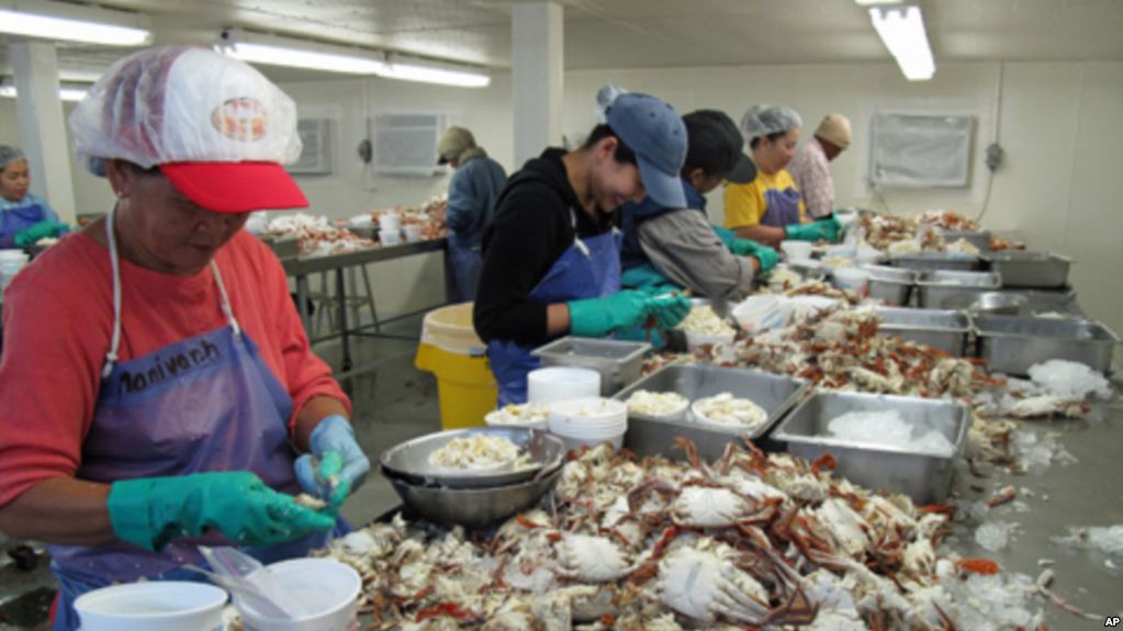Wholesale Crab industry insight