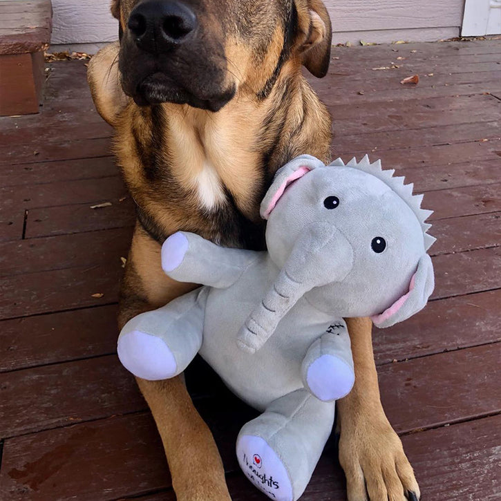 Wholesale Custom Plush Dog Toys Supplier