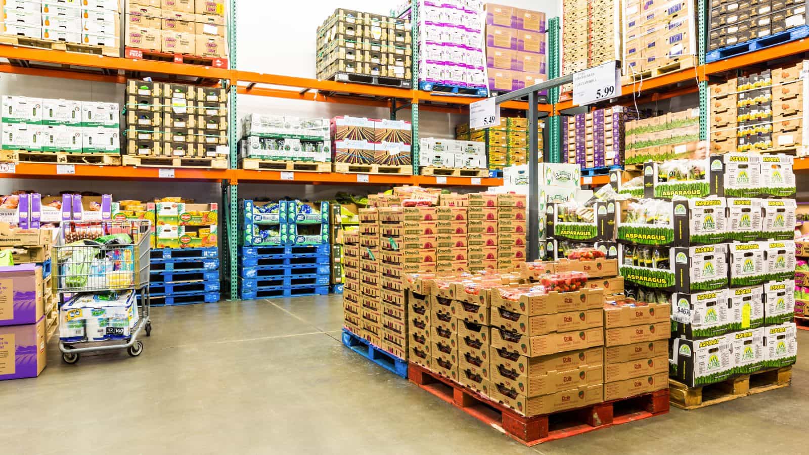 Wholesale Directory industry insight