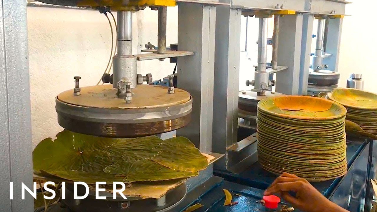 Wholesale Disposable Plates industry insight