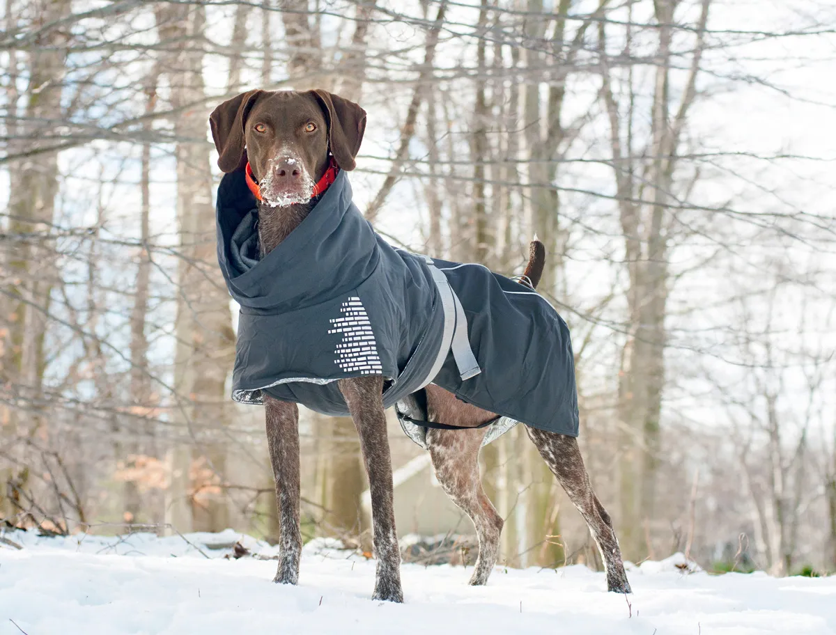 Wholesale Dog Clothes Manufacturers & Suppliers