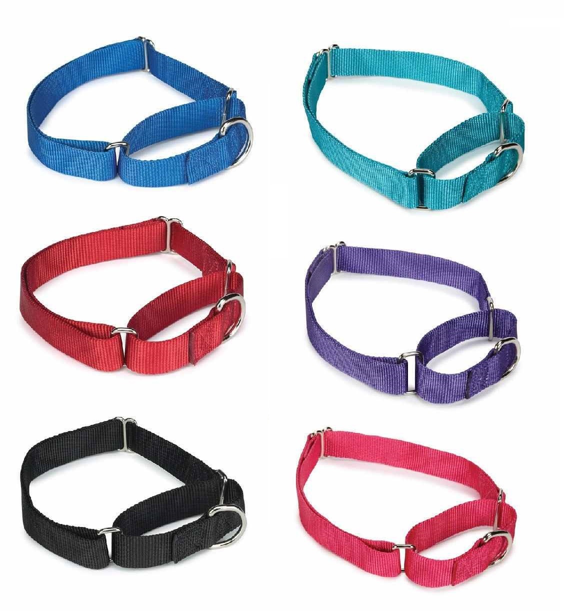 Wholesale Dog Collars