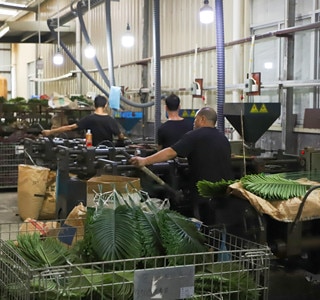 Wholesale Fake Plants industry insight