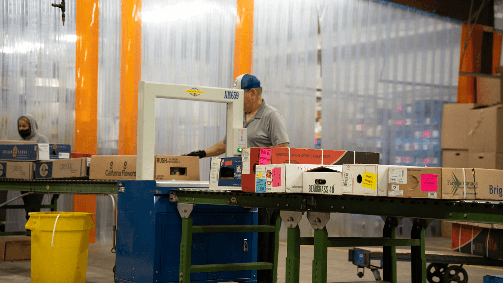 Wholesale Floral Containers industry insight