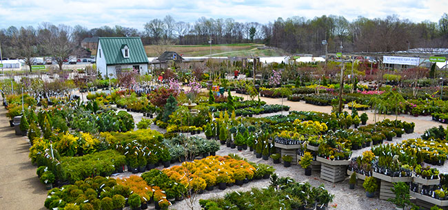 Wholesale Gardens