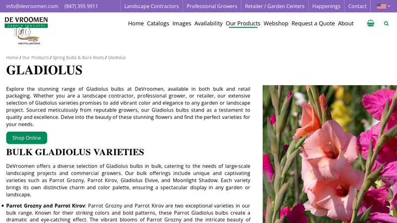 Wholesale Gladiolus Bulbs