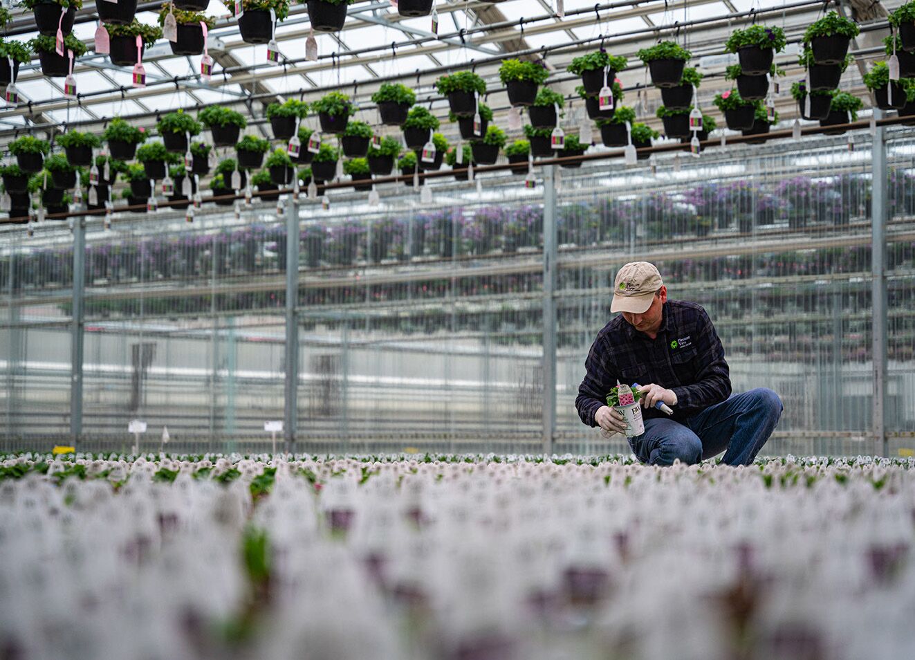 Wholesale Greenhouse Supplies industry insight