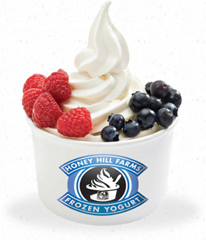 Wholesale Ice Cream & Frozen Yogurt Toppings, Mixes, Syrups ...