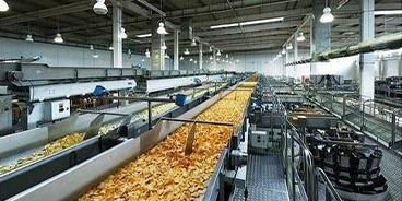 Wholesale Indian Grocery industry insight