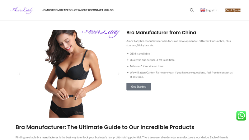 Wholesale Invisible Adhesive Bra Manufacturer