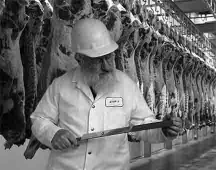 Wholesale Kosher Meat industry insight