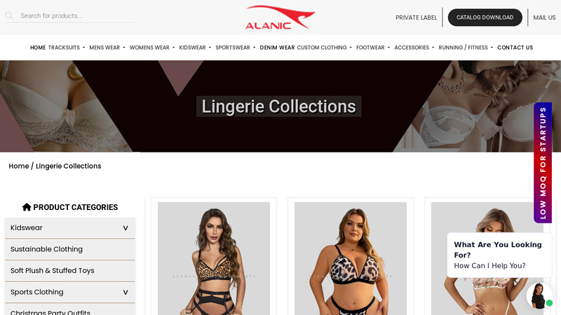 Wholesale Lingerie Manufacturer & Supplier