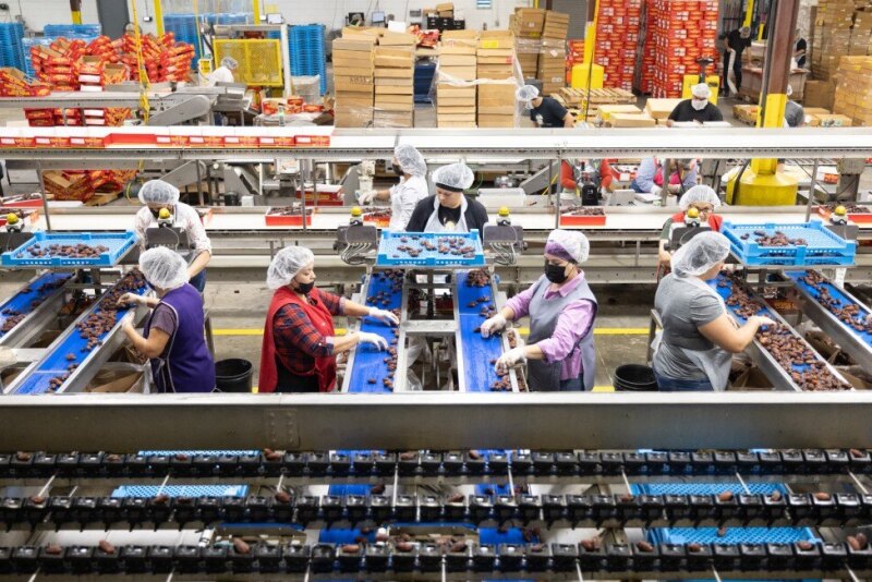 Wholesale Oasis Products industry insight