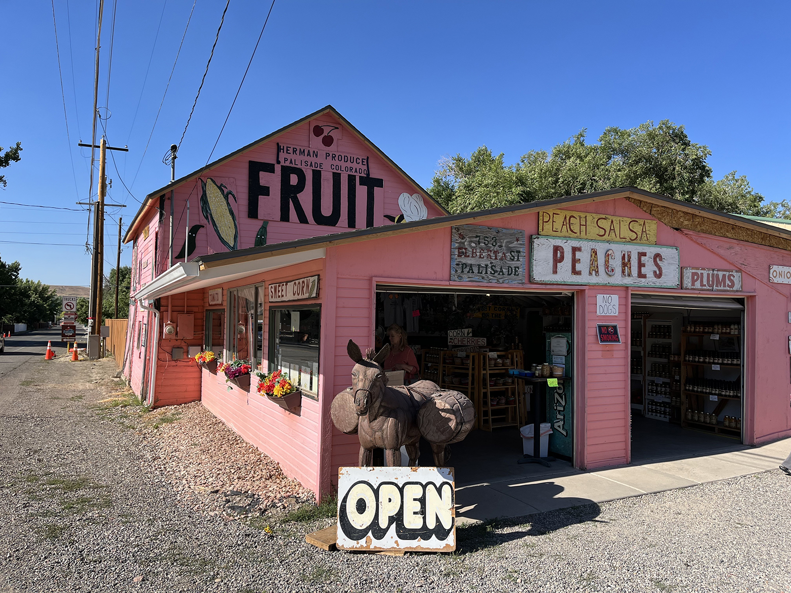 Wholesale Palisade Peaches in Colorado