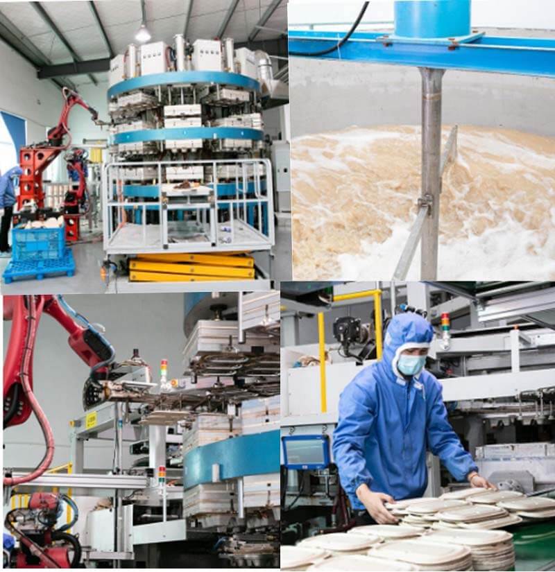 Wholesale Party Plates industry insight