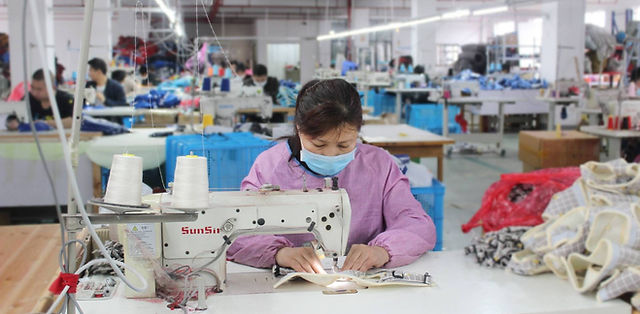 Wholesale Pet Toys industry insight