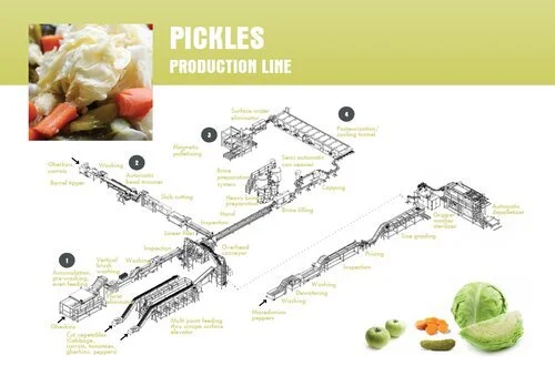 Wholesale Pickles industry insight
