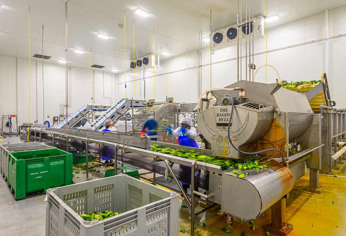 Wholesale Pickles industry insight