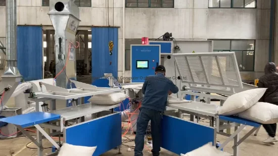 Wholesale Pillow Stuffing industry insight