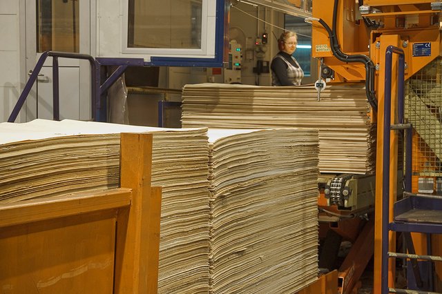 Wholesale Plywood industry insight