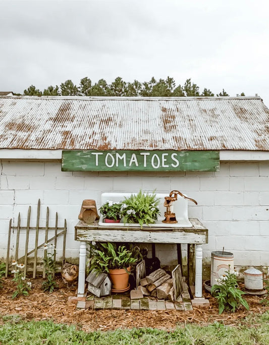 Wholesale primitives for your store