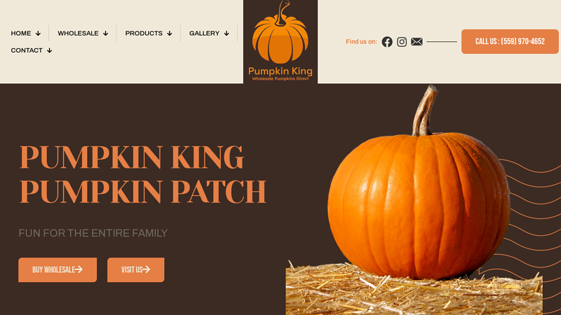 Wholesale Pumpkins Direct