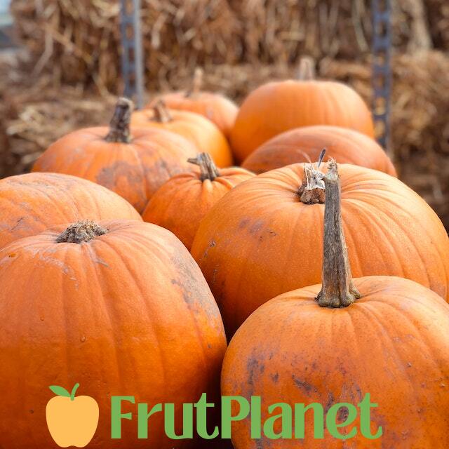 Wholesale Pumpkins Distributor