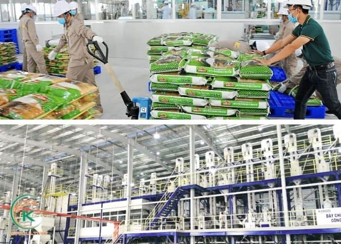 Wholesale Rice industry insight