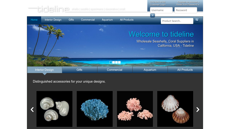 Wholesale Seashells, Coral Suppliers in California, USA