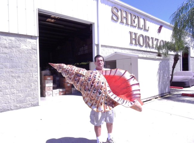 Wholesale Seashells industry insight