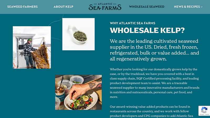 Wholesale Seaweed