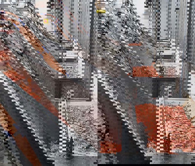 Wholesale Shrimp industry insight