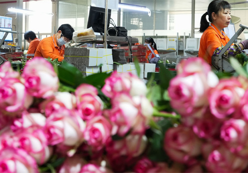 Wholesale Silk Flowers And Supplies industry insight