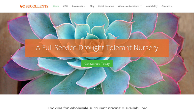 Wholesale Succulent Nursery