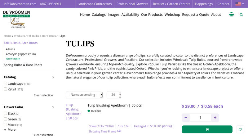 Wholesale Tulip Bulbs