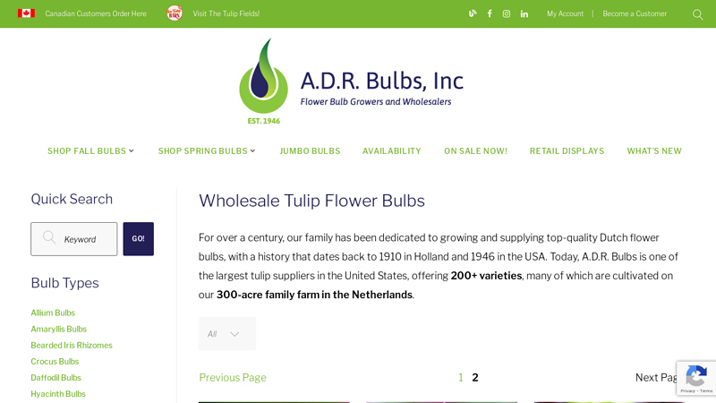 Wholesale Tulip Bulbs