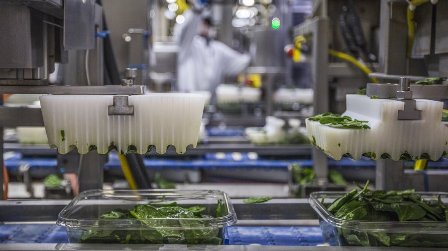 Wholesale Vegetable Plants industry insight