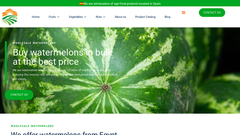 ▷ Wholesale watermelon supplier