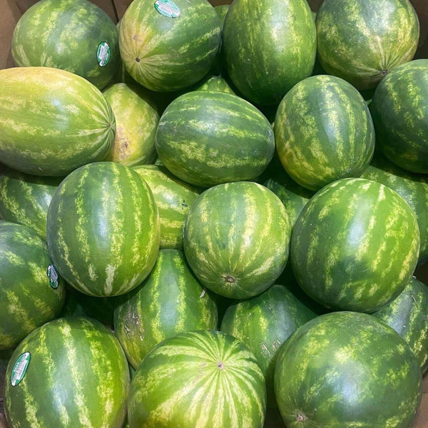 Wholesale Watermelons