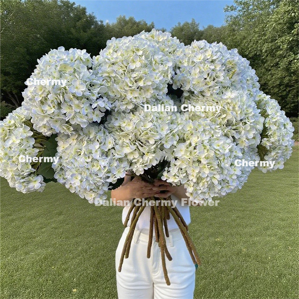 Wholesale White Flowers industry insight