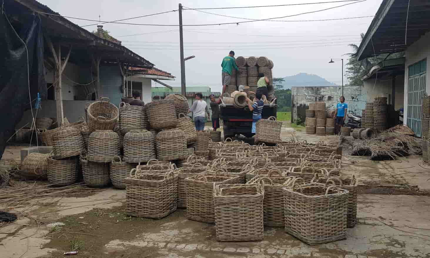Wholesale Wicker Baskets industry insight
