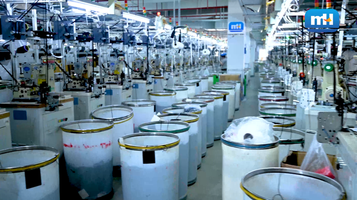 Wholesale Zippers industry insight