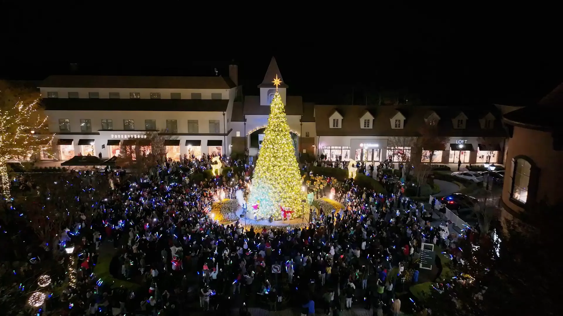 Wintergreen Corporation