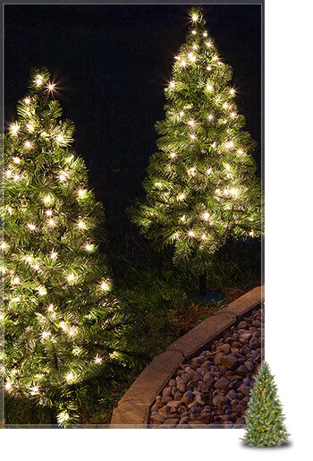 Wintergreen Corporation