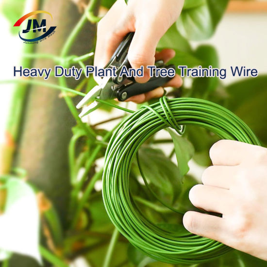 Wire For Gardening industry insight