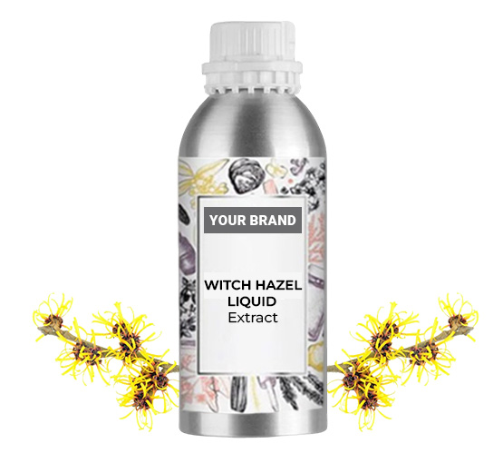 Witch Hazel Bulk industry insight