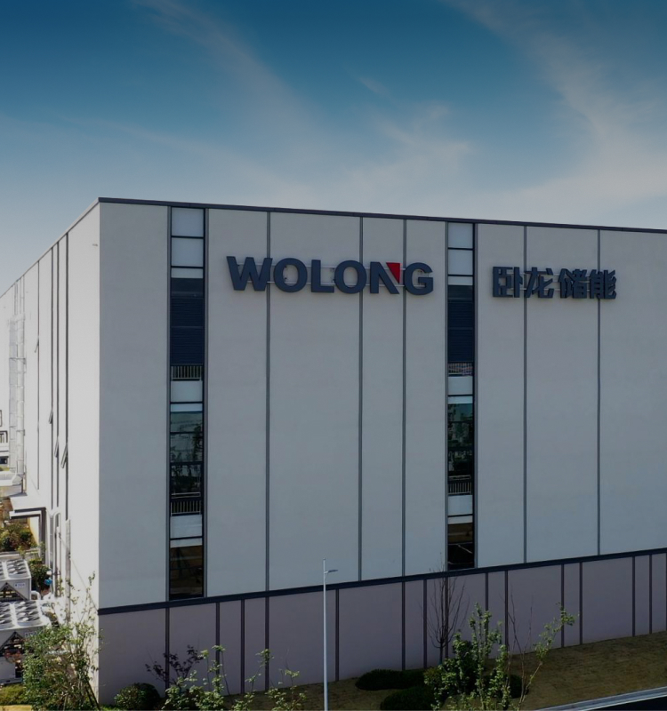 Wolong Electric America