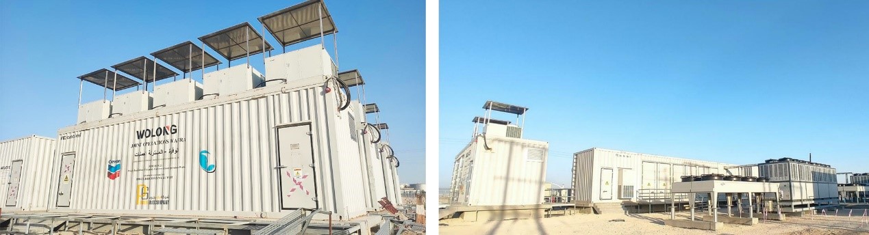 Wolong Electric America